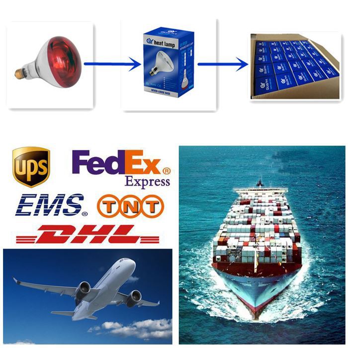 product-700-700 Transport of near infrared bulb